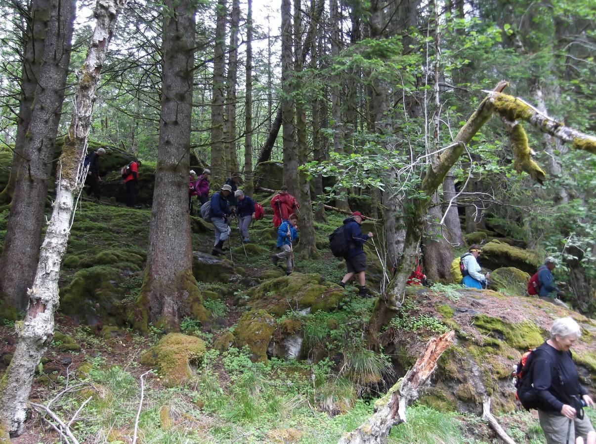 Hardanger Basecamp Hostel Osa Exterior photo